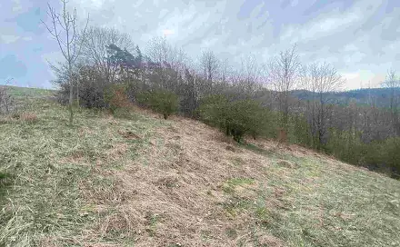 Prodej pozemku 1 000 m², Mírová pod Kozákovem - Vesec, okres Semily