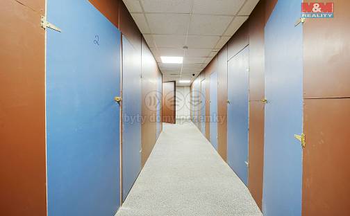 Pronájem skladovacích prostor 8 m², Americká, Plzeň - Východní Předměstí