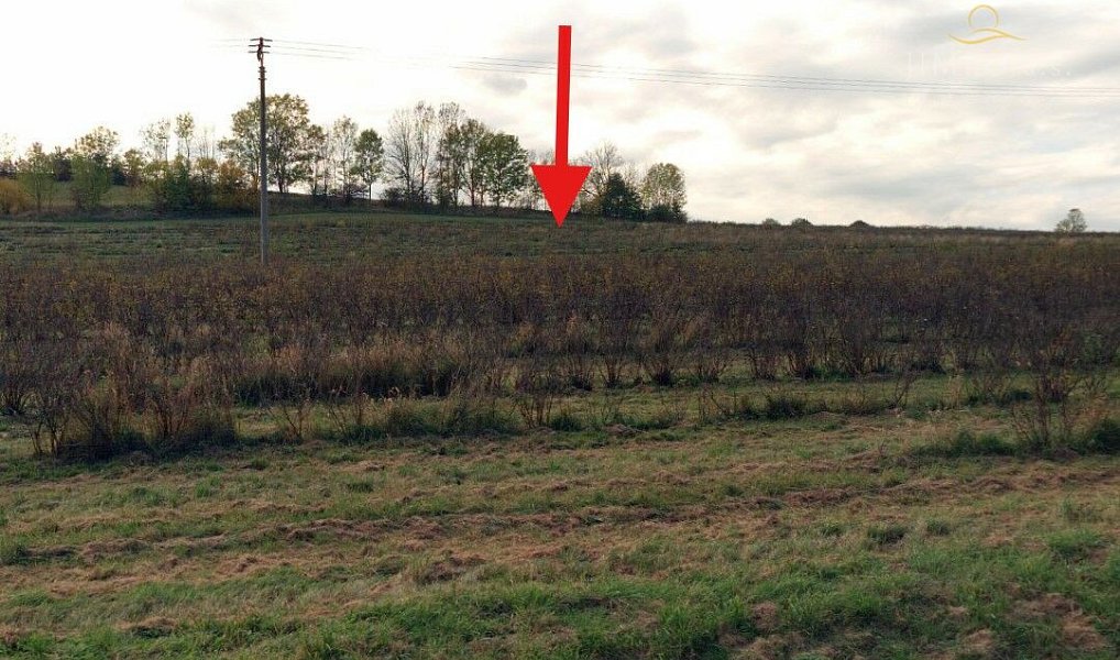 Prodej pole 12 035 m², Proseč – náhled fotky 5