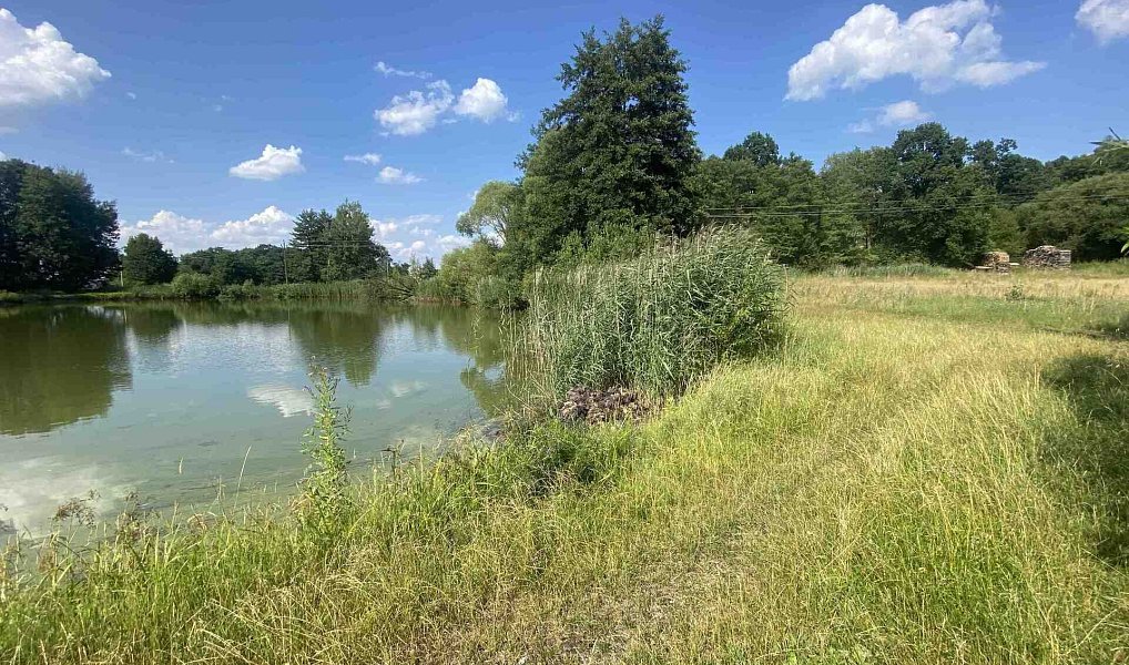 Prodej pozemku 2 756 m², Třeboň – náhled fotky 5