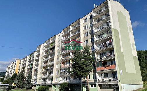 Prodej bytu 4+1 75 m², Hamerská, Litvínov - Janov, okres Most