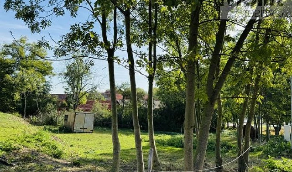 Prodej stavebního pozemku 852 m², Lipno – náhled fotky 9