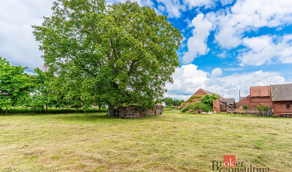 Prodej stavebního pozemku 1 478 m², Měník – náhled fotky 6