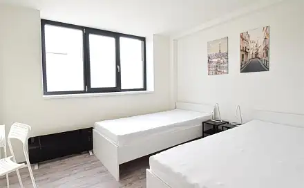 Pronájem bytu 2+1 32 m², Hybešova, Brno - Staré Brno