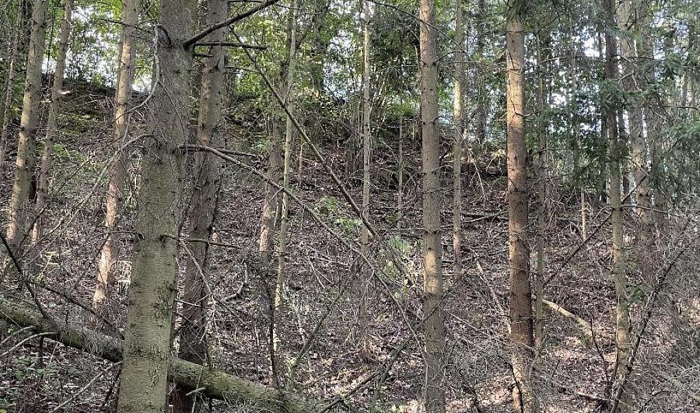 Prodej pozemku 50 152 m², Útěchov – náhled fotky 2