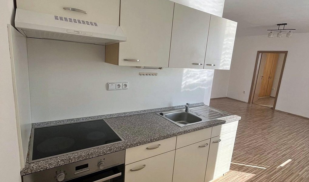 Pronájem bytu 2+kk 44 m², České Budějovice – náhled fotky 4