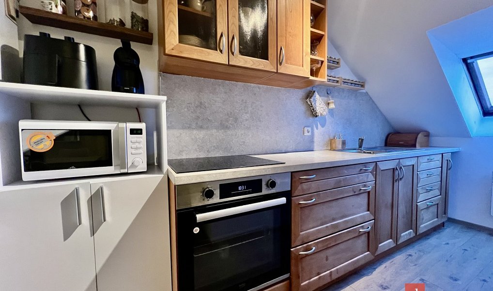Pronájem bytu 1+1 40 m², Opava – náhled fotky 11