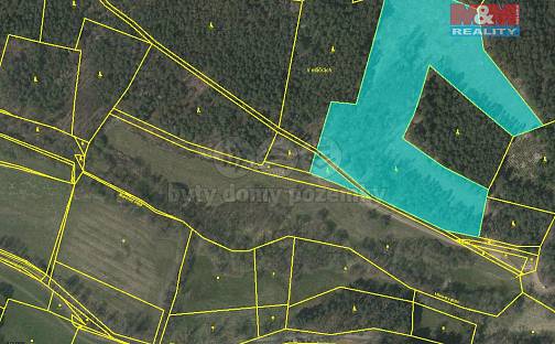 Prodej lesa 26 262 m², Přechovice, okres Strakonice