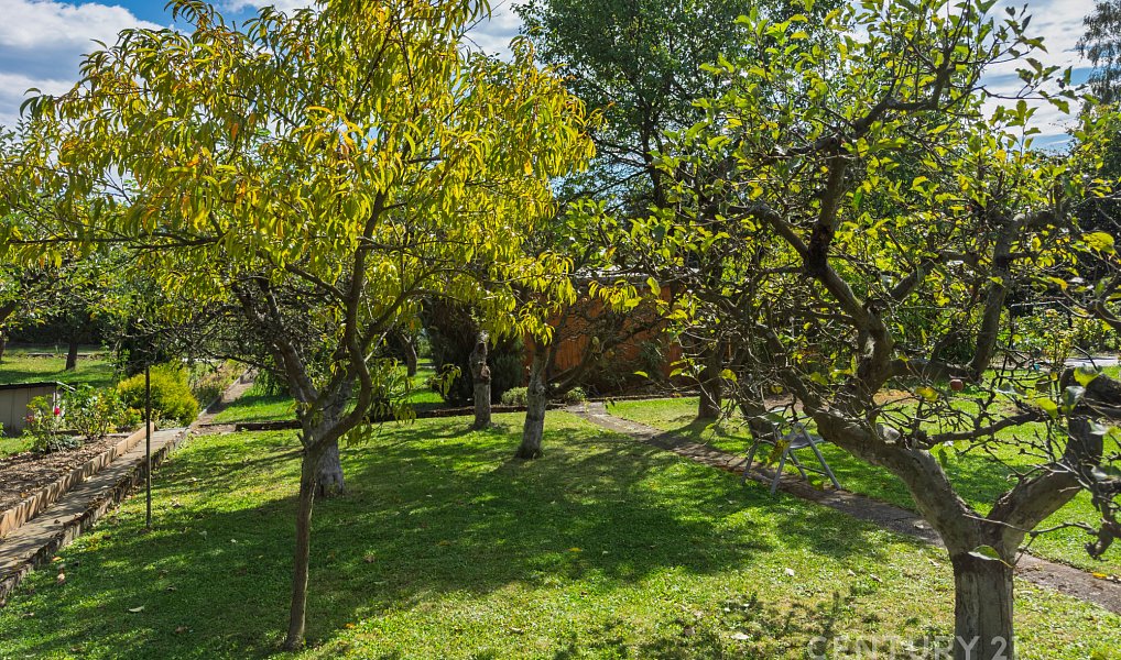 Prodej chaty/chalupy 17 m² s pozemkem 350 m², Nový Jičín – náhled fotky 22