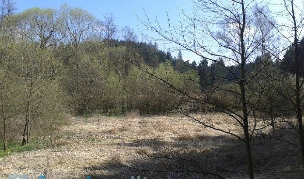 Prodej pozemku 4 724 m², Hříšice – náhled fotky 3