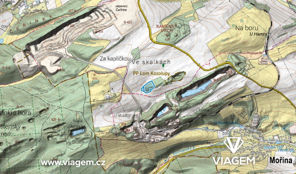 Prodej lesa 13 707 m², Vysoký Újezd – náhled fotky 3