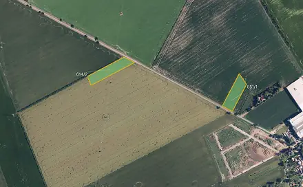 Prodej pole 4 462 m², Olšany u Prostějova, okres Prostějov