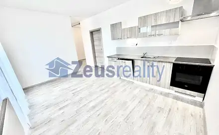 Pronájem bytu 1+kk 39 m²
