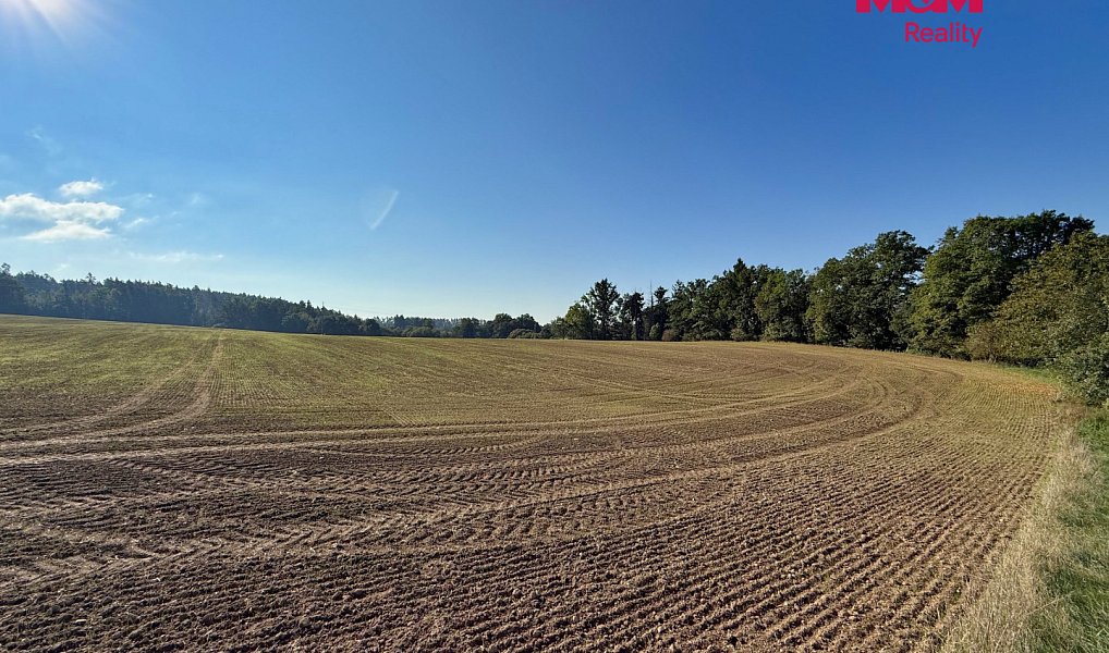Prodej pole 46 982 m², Ratibořské Hory – náhled fotky 4