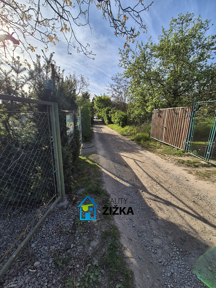 Fotka 15 z 19