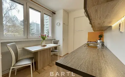 Pronájem bytu 1+1 35 m², U Malše, České Budějovice - České Budějovice 7
