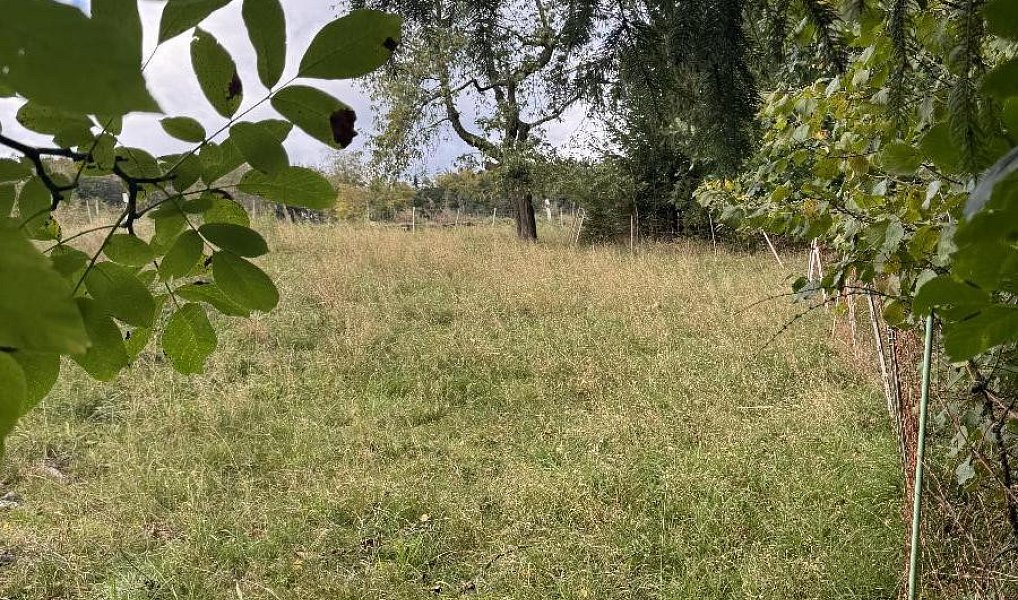 Prodej pozemku 10 821 m², Velké Svatoňovice – náhled fotky 2