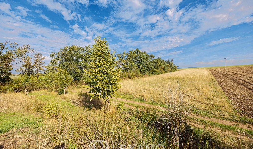 Prodej pole 5 903 m², Prace – náhled fotky 6