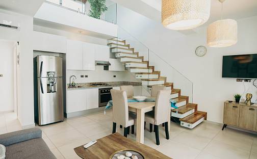 Prodej komerčního objektu (jiného typu) 128 m², Dominicus, Dominikánská republika