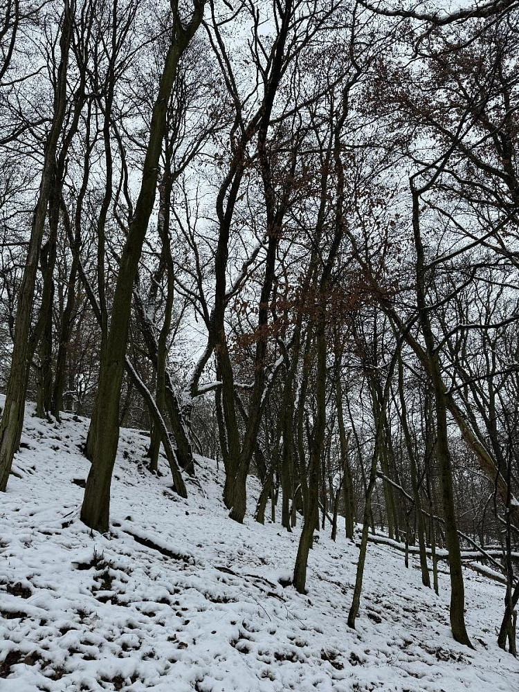 Fotka 6 z 15