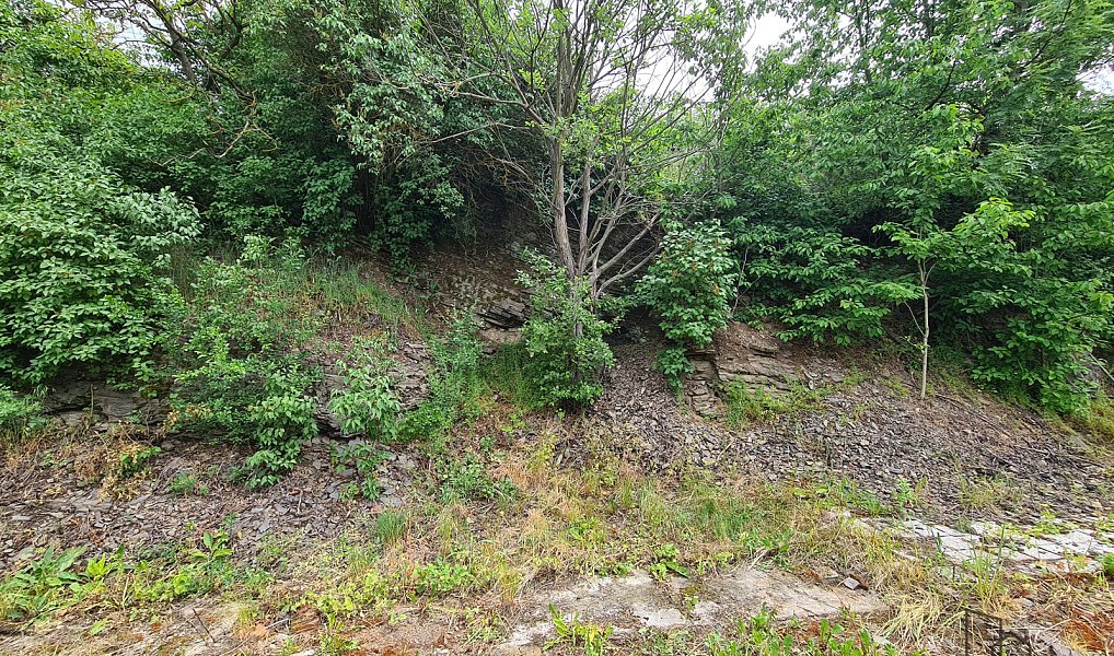 Prodej domu 95 m² s pozemkem 530 m², Vyškov – náhled fotky 12