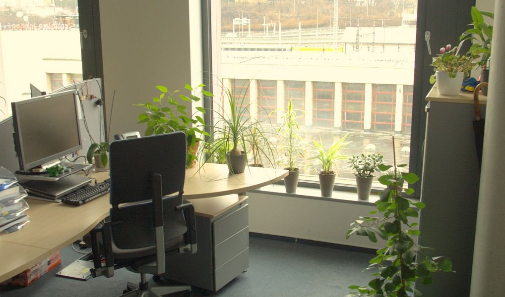 Pronájem kanceláře 239 m², Praha – náhled fotky 23