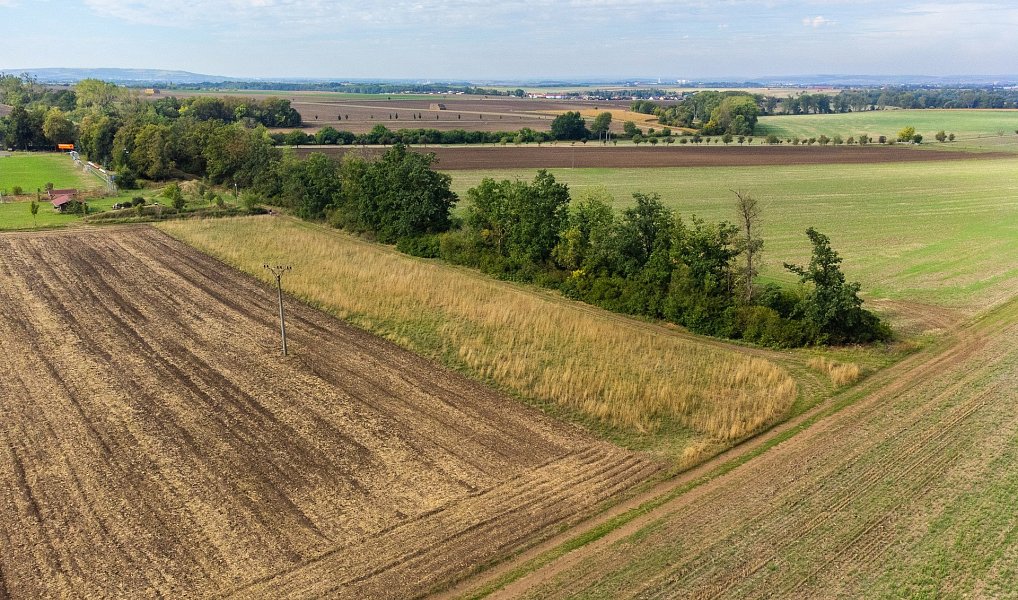 Prodej pole 5 903 m², Prace – náhled fotky 5