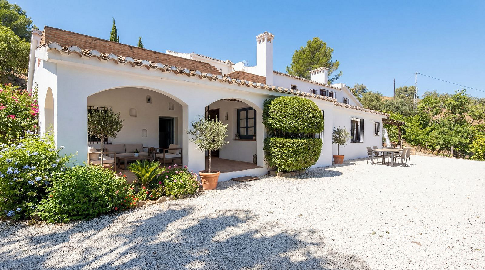 Fotka 12 z 15