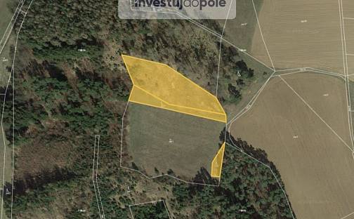 Prodej lesa 5 649 m², Čepřovice, okres Strakonice