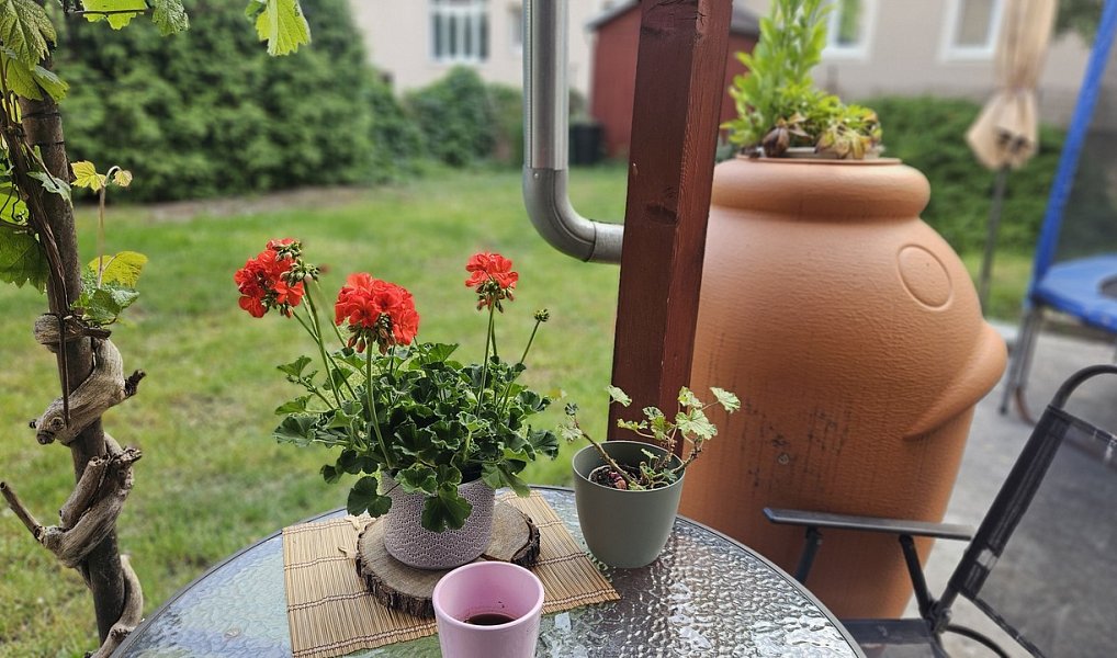 Prodej domu 400 m² s pozemkem 434 m², Ústí nad Labem – náhled fotky 4