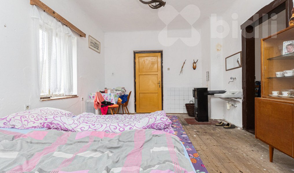 Prodej domu 950 m² s pozemkem 24 944 m², Jankov – náhled fotky 13