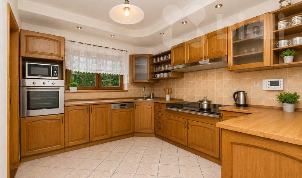 Prodej domu 326 m² s pozemkem 3 955 m², Rokytnice v Orlických horách – náhled fotky 3