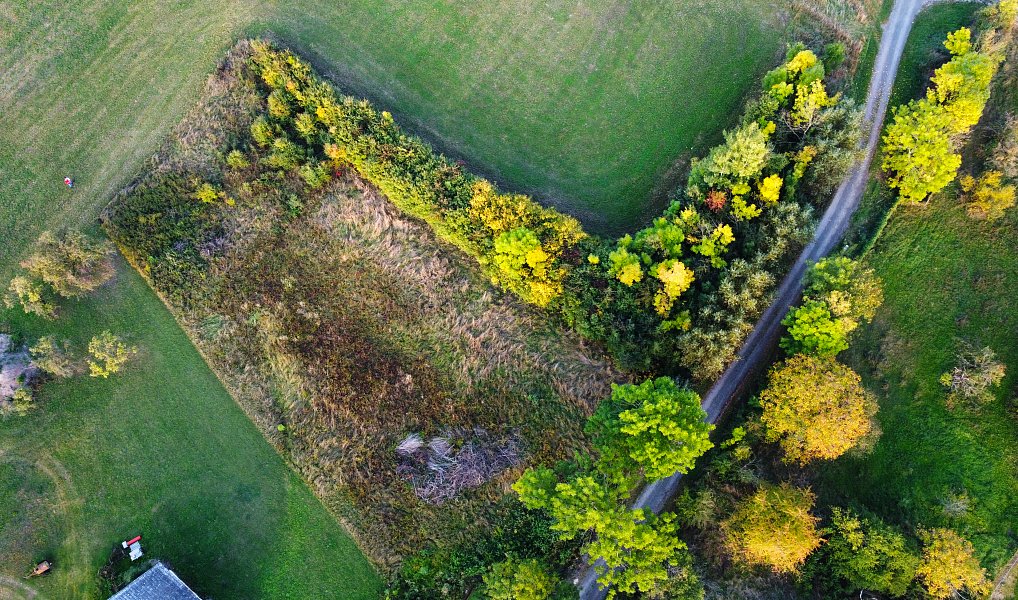 Prodej stavebního pozemku 2 713 m², Česká Skalice – náhled fotky 2