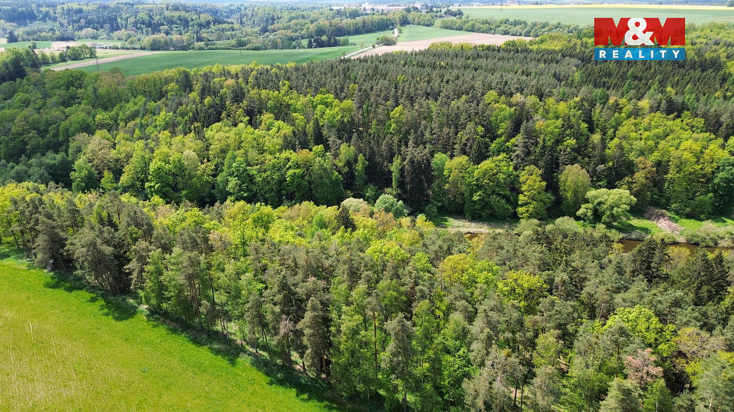 Prodej lesa 79 857 m² — photo 3