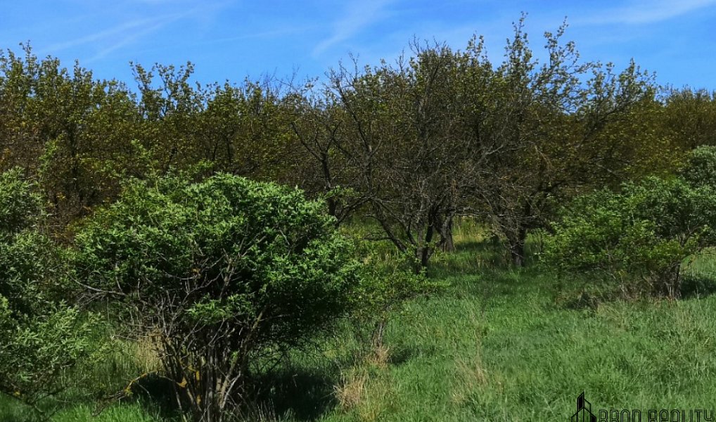 Prodej pozemku 22 292 m², Hustopeče – náhled fotky 7
