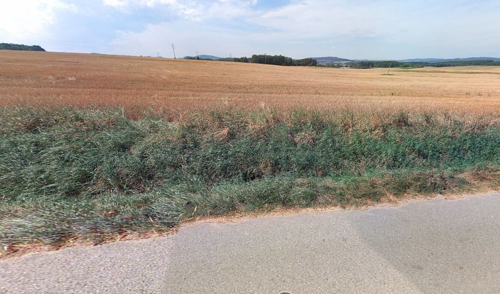 Prodej komerčního pozemku 9 229 m², Cehnice – náhled fotky 3