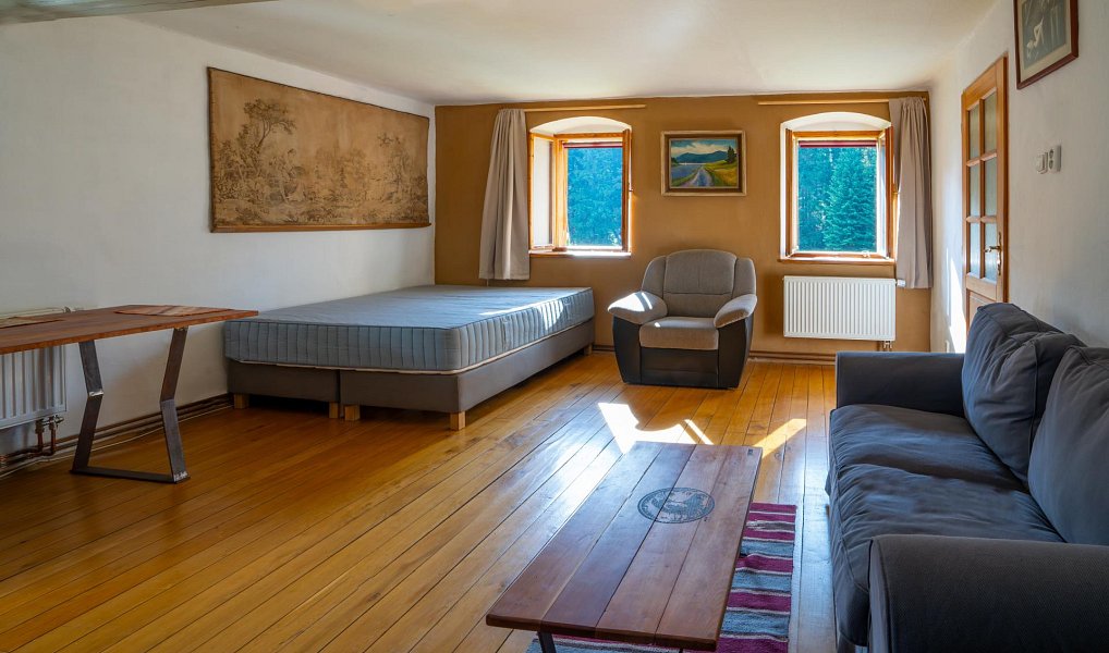 Prodej domu 419 m² s pozemkem 1 761 m², Přední Výtoň – náhled fotky 6