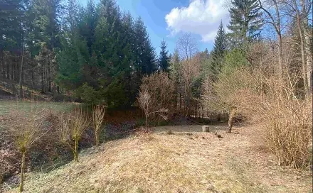 Dražba zahrady 858 m², Pěčín