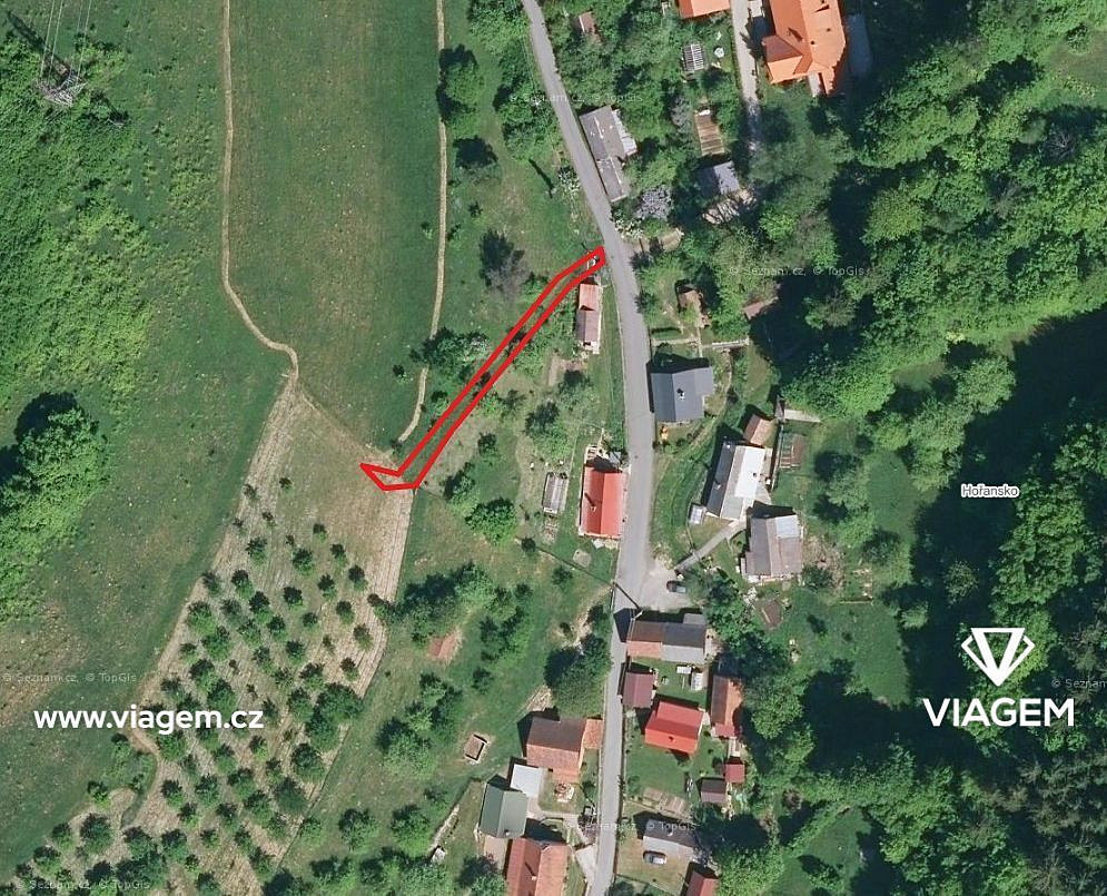 Prodej lesa 1 920 m² – fotografie 2