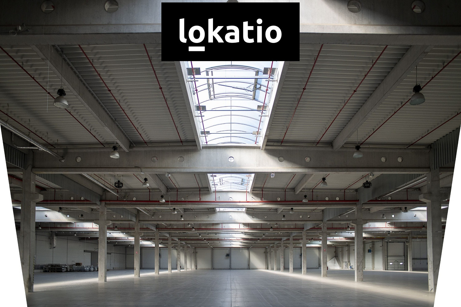 Pronájem výrobních prostor 4 242 m² — photo 2