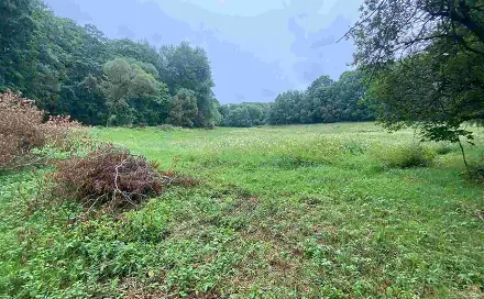 Prodej pozemku 1 500 m², Úterý - Vidžín, okres Plzeň-sever