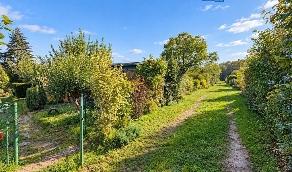 Prodej zahrady 381 m², Teplice – náhled fotky 22