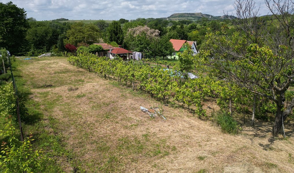 Prodej zahrady 935 m², Mikulov – náhled fotky 9