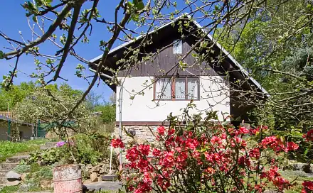 Prodej chaty/chalupy 41 m² s pozemkem 809 m², Lazebnice, Ostrovačice, okres Brno-venkov