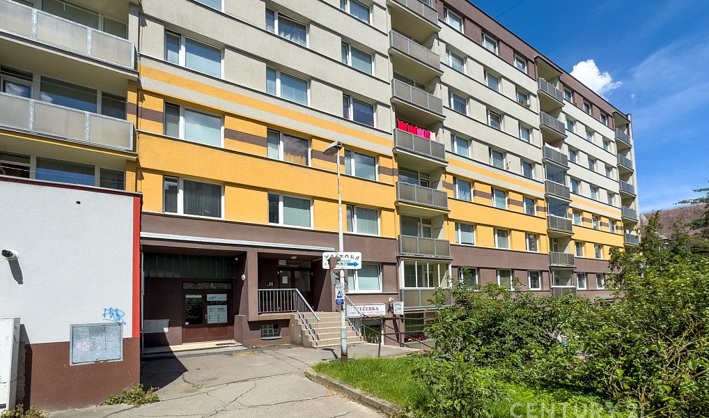 Pronájem bytu 1+kk 19 m², Děčín – náhled fotky 15
