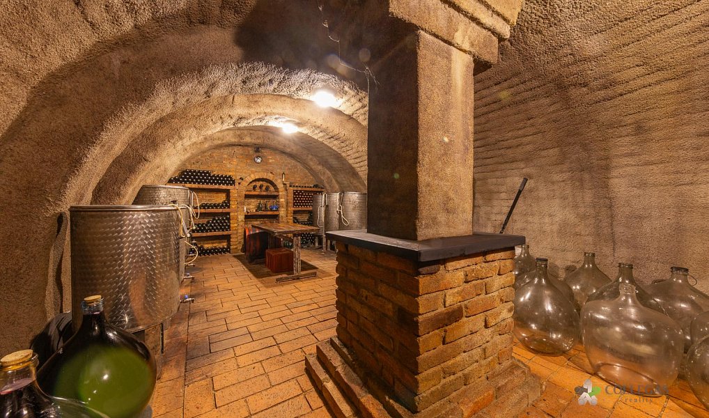 Prodej domu 124 m² s pozemkem 369 m², Hustopeče – náhled fotky 28