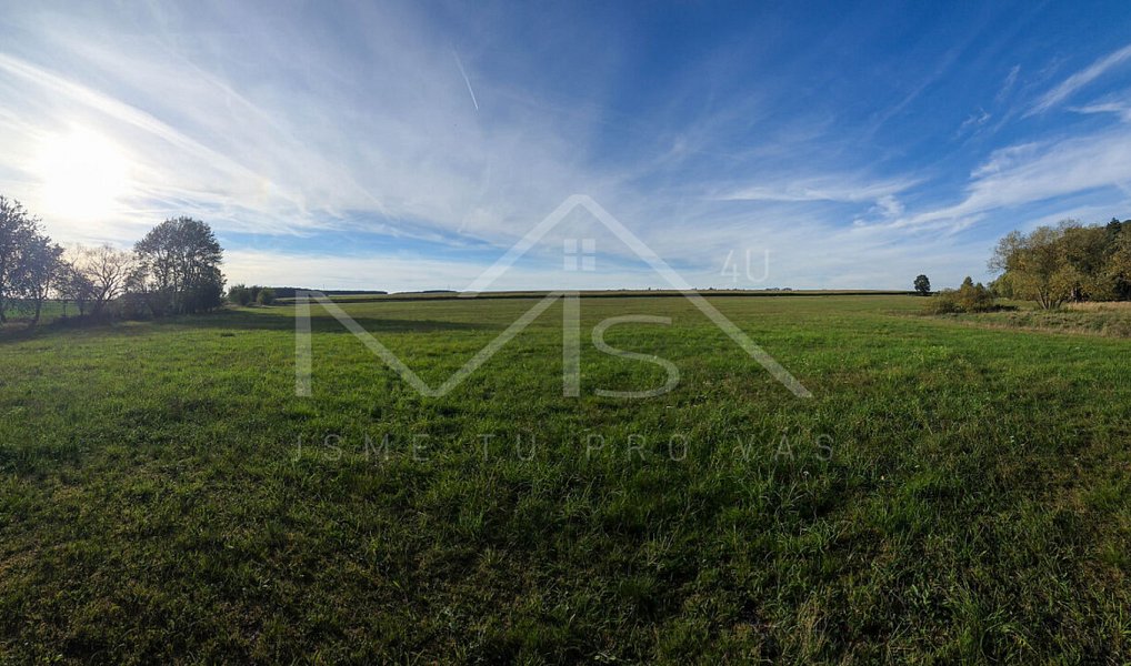 Prodej louky 20 304 m², Česká Bříza – náhled fotky 4
