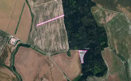 Prodej pole 6 560 m², Džbánice, okres Znojmo
