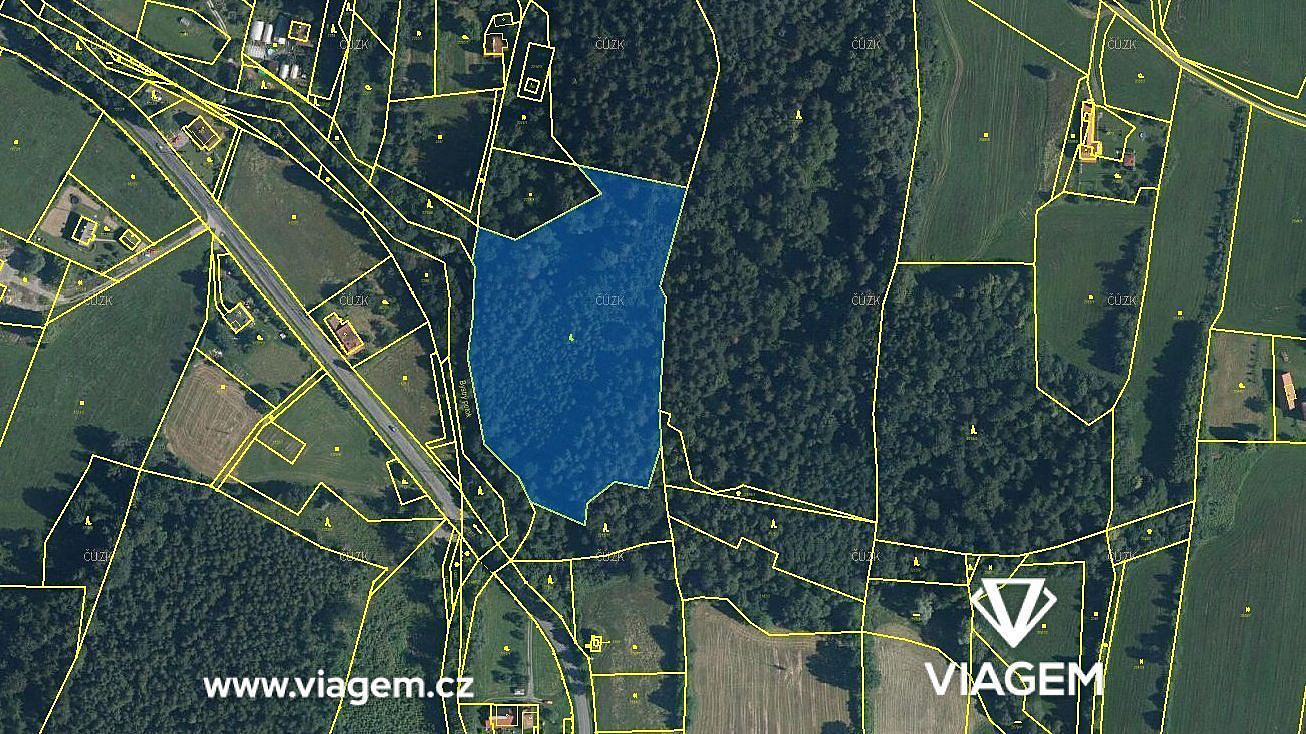 Prodej lesa 1 420 m² – fotografie 2