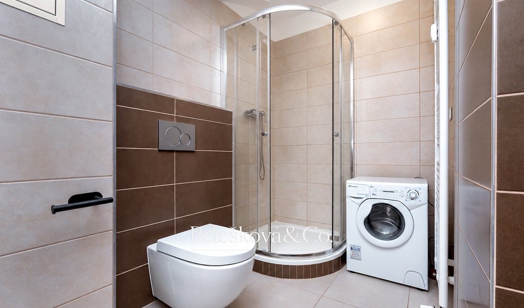 Pronájem bytu 1+kk 38 m², Praha – náhled fotky 4